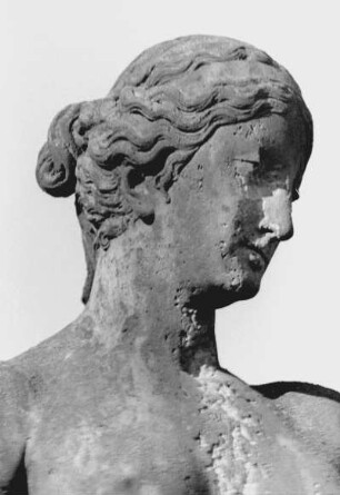 Röhrsdorf, Schloss, Flora vor der Orangerie, Detail
