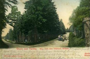 Tharandt-Kurort Hartha. Weg zu den Triebischwiesen, kolorierte Ansichtskarte
