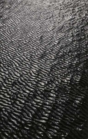 Strukturen im Sandboden, Watt