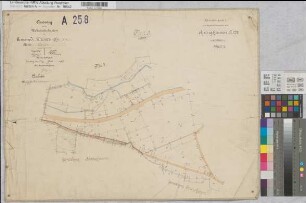 Assinghausen (Olsberg), Separation Assinghausen, Bl.8 Brouillonkarte I Gem. Wiemeringhausen, Flur 5
