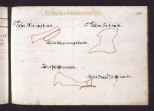 Frickenhausener Hut: Verschiedene Tischardter Waldstücke