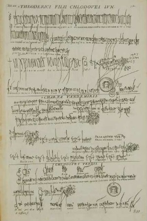 Tab. XX. Theoderici filii Chlodovei Jun.