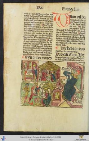 Das buch luce des ewangelisten