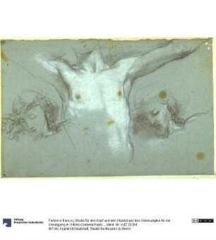 Studie für den Kopf und den Oberkörper des Gekreuzigten für die Kreuzigung in Urbino (Galleria Nazionale delle Marche)