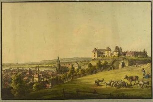 Die Stadt Pirna mit der Marienkirche und die Festung Sonnenstein von der Landstraße nach Königstein im Süden gesehen, im Vordergrund Hirten mit Herde, nach Bellotto