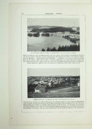 196. Donaueschingen, der Hauptort der Baar