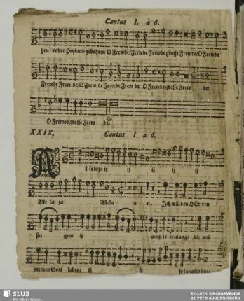 XXIX. Alleluia ich will dem Herren singen
