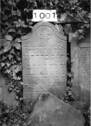 Grabstein 1001 (Index: 99630504) Material: Sandstein Zustand: leicht abgeblättert, eingesunken/Textverl Maße HxBxT: 82x43x7 cm Beschreibung: Stele mit Konvexbogenabschluß: Grabstein 1001
