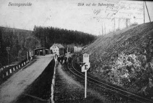 Wilsdruff-Herzogswalde. Bahnstation Herzogswalde mit der Tännichtmühle im Hintergrund, Ansichtskarte