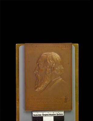 Plakette des Geologen Dr. Ferdinand Ritter von Hochstetter / Professor der Geologie