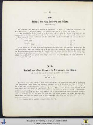 XI. Schädel aus den Gräbern von Selzen.