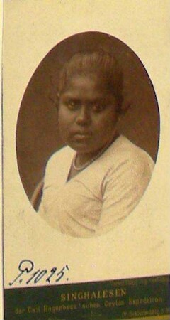 Singhalesen der Carl Hagenbeck'schen Ceylon Expedition