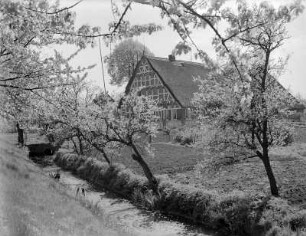Niederelbe : Altländer Fachwerkhaus