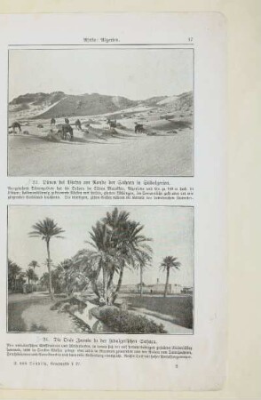 24. Die Oase Zaouia in der südalgerischen Sahara