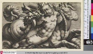 [Putto mit Füllhorn auf geflügeltem Seeungeheuer nach rechts]