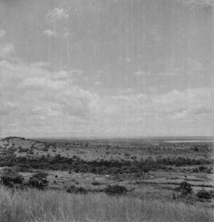Landschaft : Blick über eine bewaldete Ebene bei Masaka