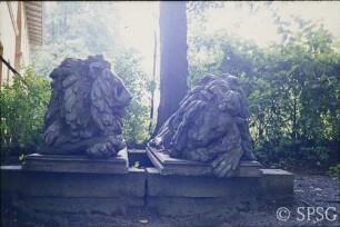 Rauch, Christian Daniel: Wachender und ruhender Löwe.