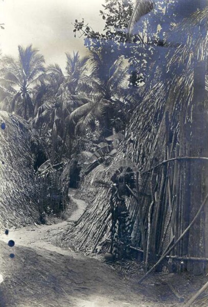 "Street in Uaigagim. Goblin figure with coconut tree next to it, and fences separating the courtyards from the street."