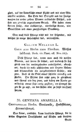 35. Gentiana amarella L.