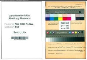 Entnazifizierung Lilly Busch, geb. 13.06.1907 ()