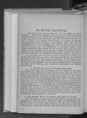 2. Die Fürsorge für die verwahrloste und gefährdete Jugend.