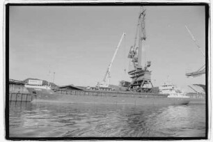 Pandora (1992), Harren & Partner, Limassol