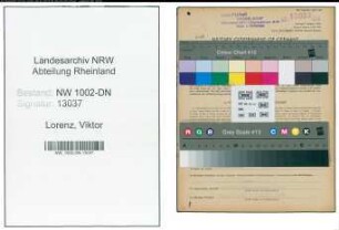 Entnazifizierung Viktor Lorenz, geb. 07.01.1903 (Baufuehrer)