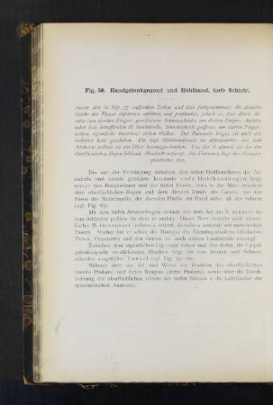 Fig. 58. Handgelenkgegend und Hohlhand, tiefe Schicht.