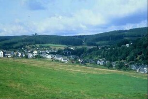 Ortsansicht von Süden, Wald, Berge