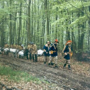 Spessart. Nachgestellte Eselskarawane auf der historischen Handelsstraße, dem Eselsweg
