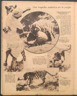 Una tragedia auténtica en la jungla [Fotografías]