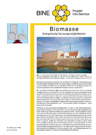 Biomasse. Energetische Nutzungsmöglichkeiten.