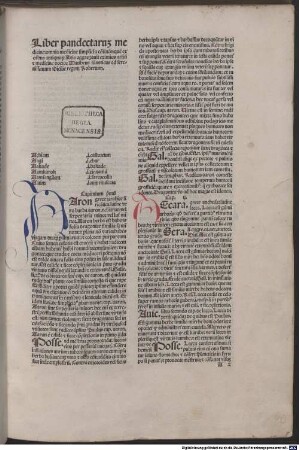 Liber pandectarum medicinae : mit Brief an Kardinal Francesco Gonzaga von Matthaeus Moretus