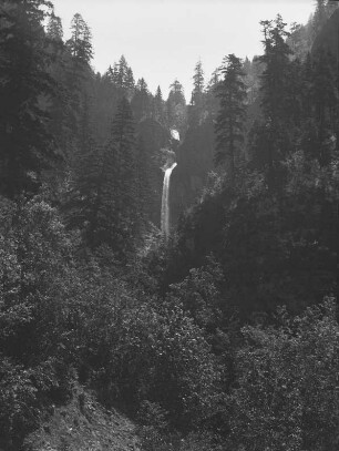 Wasserfall im Columbia River Tal (USA-Reise 1933)