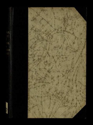 Pensieri sull' allegoria della Vita Nuova di Dante