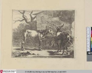 [Zwei Esel bei der Krippe; Two donkeys at a trough]