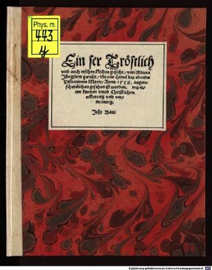 Ein ser Tröstlich vnd auch erschreckliches gesicht von Gottes Jüngstem gericht, So am Himel des abends Visitationis Marie Anno 1556. augenscheinlichen gesehen ist worden : mit einer kurtzen vnnd Christlichen erklerung vnd vermanung