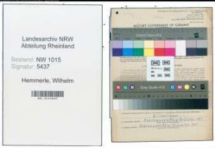 Entnazifizierung Wilhelm Hemmerle , geb. 18.11.1901 (Kaufmann)