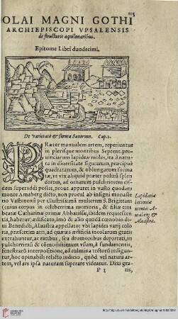 Epitome libri duodecimi
