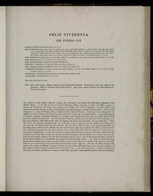 Felis Viverrina