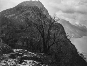 Im Gebirge : In einem Gebirge mit Bäumen und Blick in ein Tal mit See