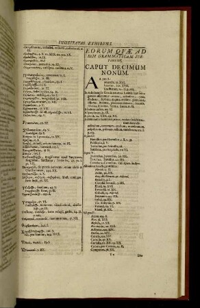 Eorum Quae Ad Rem Grammaticam Pertinent. Caput Decimum Nonum