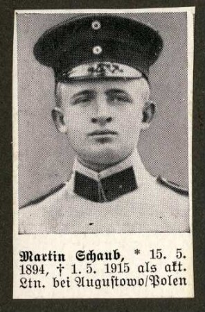 Schaub, Martin