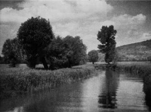 Deutschland. Main bei Lichtenfels. Flusslandschaft