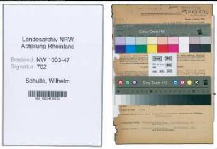 Entnazifizierung Wilhelm Schulte , geb. 06.06.1898 (Kaufm.Leiter)