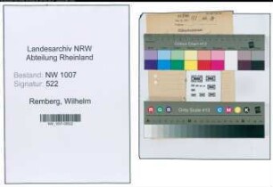 Entnazifizierung Wilhelm Remberg , geb. 13.11.1902 (Ingenieur)
