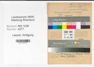 Entnazifizierung Wolfgang Leesch , geb. 07.06.1913 (Archivar)
