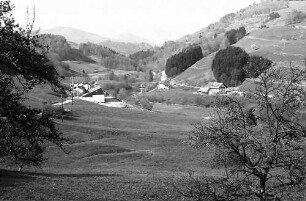 Blick von Fröhnd in das obere Wiesental
