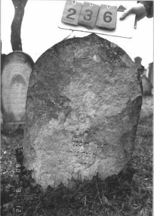 Grabstein 236 (Index: 99786885) Zustand: fast vollständig abgeblättert Maße HxBxT: 85x57x6 cm: Grabstein 236