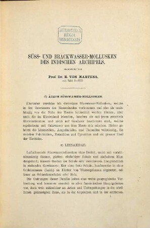 Zoologische Ergebnisse einer Reise in Niederländisch Ost-Indien, 4